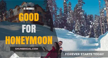 Manali Honeymoon Guide: Romantic Escapes and Scenic Bliss Await