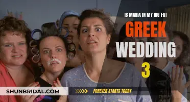 My Big Fat Greek Wedding 3: Will Maria Return?