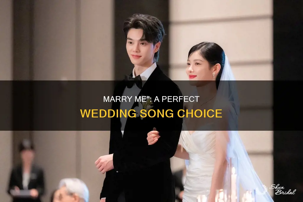 is marry me a good wedding song