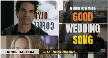 Marry Me by Train: A Wedding Song Worthy?