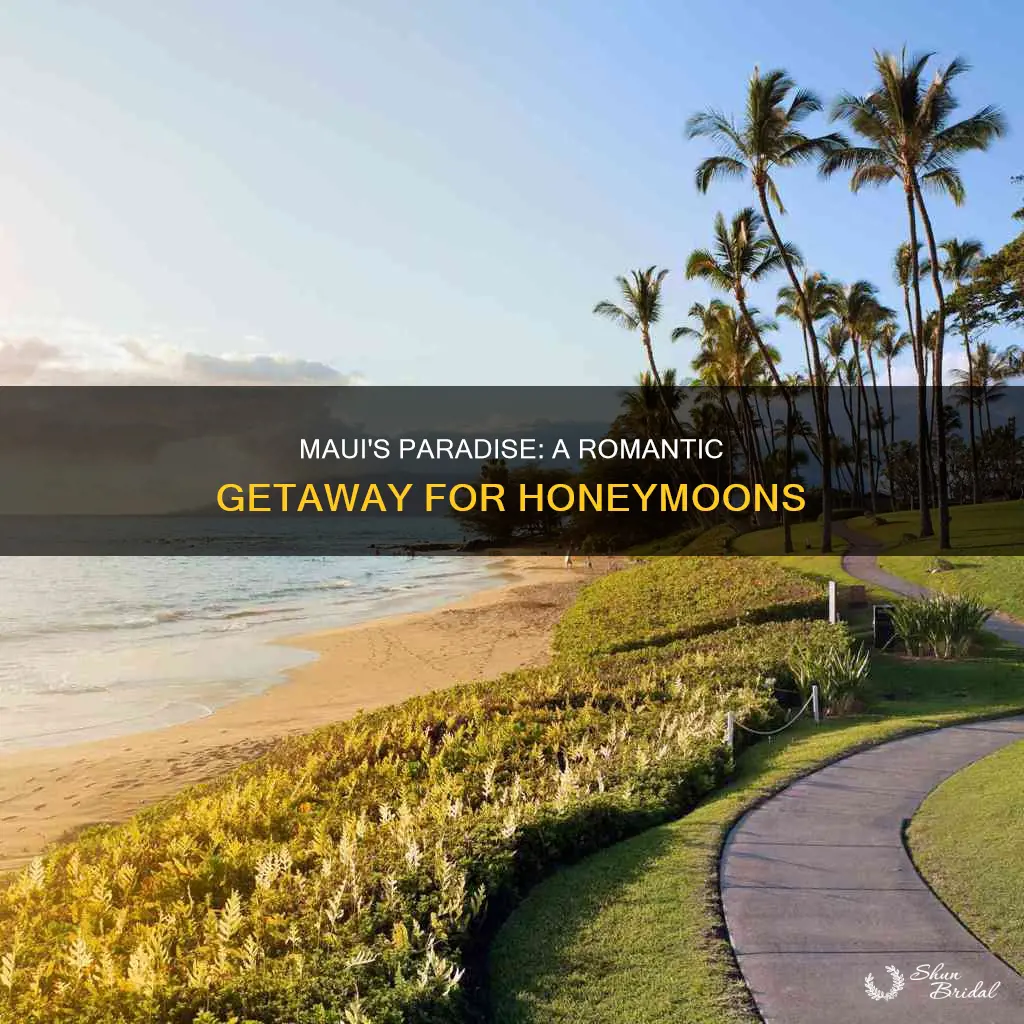 is maui hawaii good for honeymoon