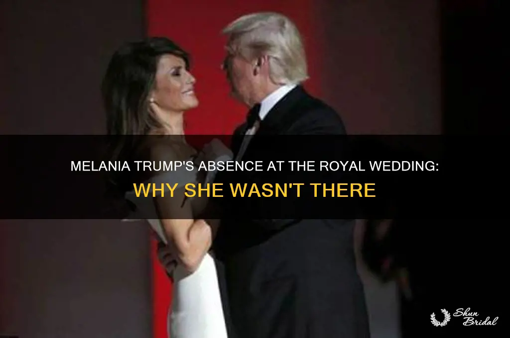 is melania at the royal wedding