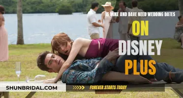 Where to Watch Mike and Dave Need Wedding Dates?