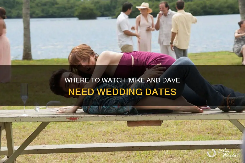 is mike and dave need wedding dates on hbo