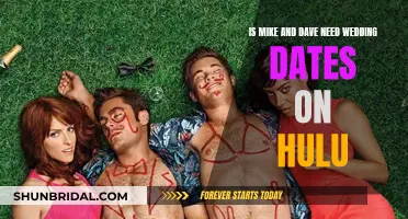 Where to Watch 'Mike and Dave Need Wedding Dates