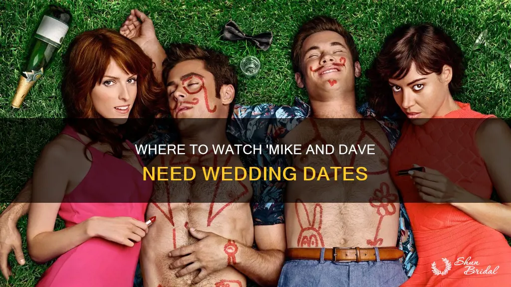 is mike and dave need wedding dates on hulu