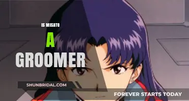 Exploring Misato's Character: A Critical Analysis of Grooming Allegations