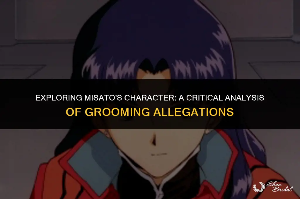 is misato a groomer
