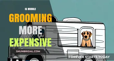 Mobile Grooming vs. Salon Prices: Which Option Costs More?