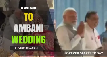 Modi's Attendance at Ambani Wedding: Speculations and Political Implications