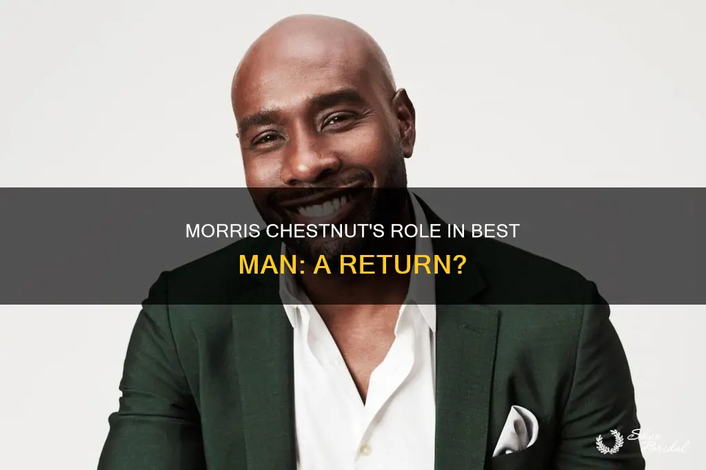 is morris chestnut in the new best man