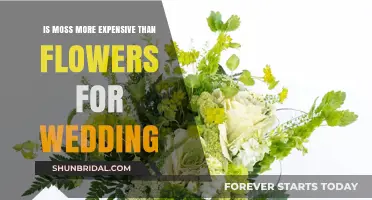 Moss vs. Flowers: Which Wedding Option Costs More?