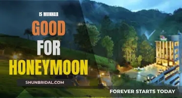 Honeymoon Haven: Munnar's Enchanting Escape for Couples