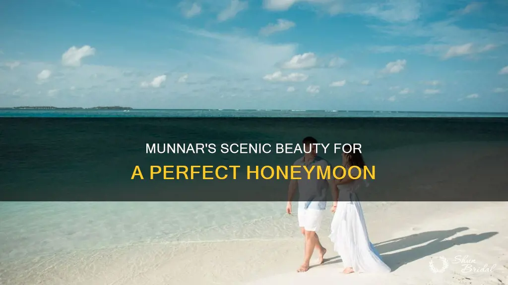 is munnar good for honeymoon