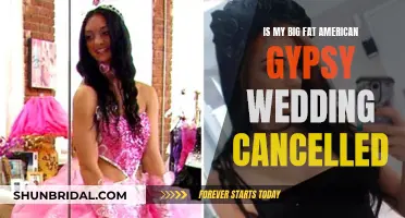 My Big Fat American Gypsy Wedding" Cancelled: Exploring the Show's Sudden En