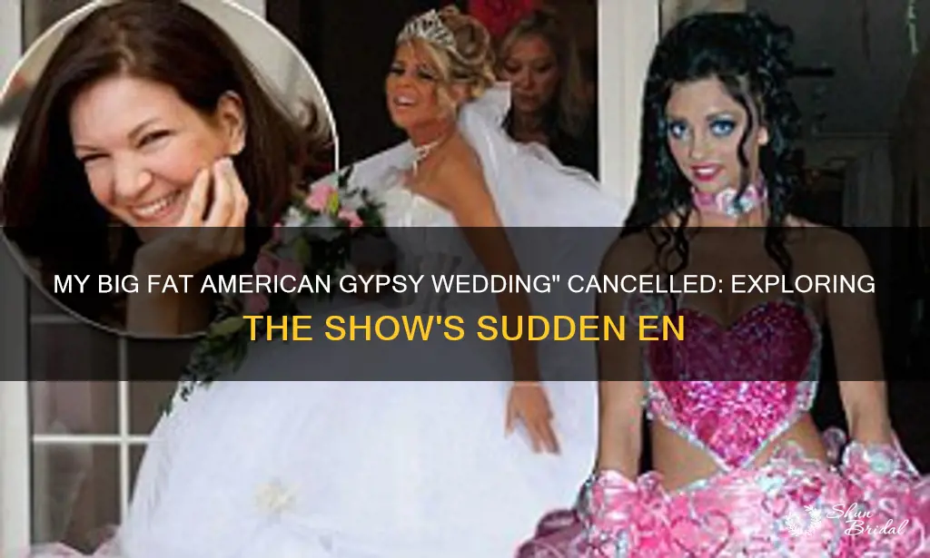 is my big fat american gypsy wedding cancelled