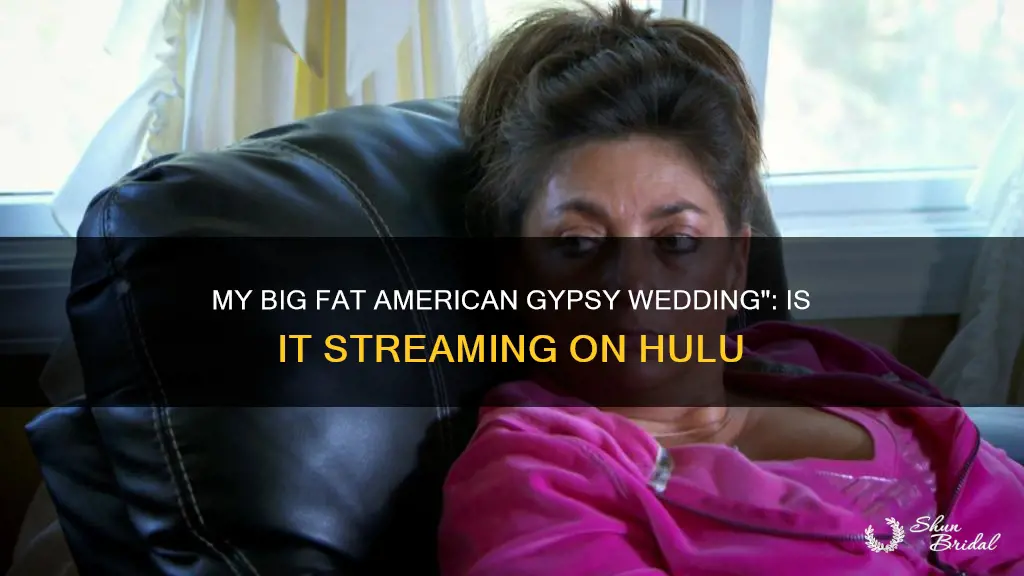 is my big fat american gypsy wedding on hulu