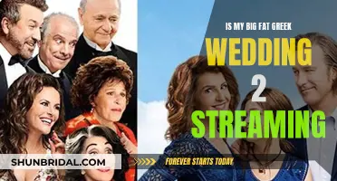 Where to Stream My Big Fat Greek Wedding 2