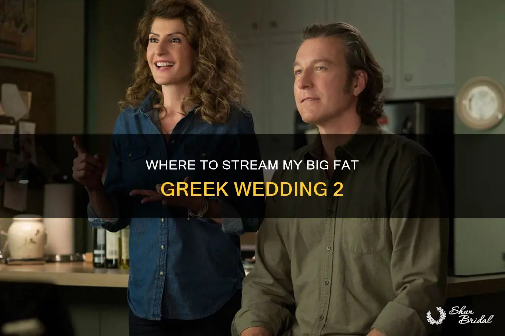 is my big fat greek wedding 2 streaming