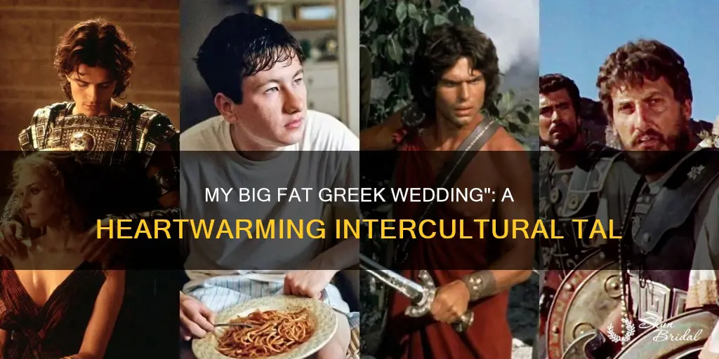 is my big fat greek wedding a interculturalcommunication movie