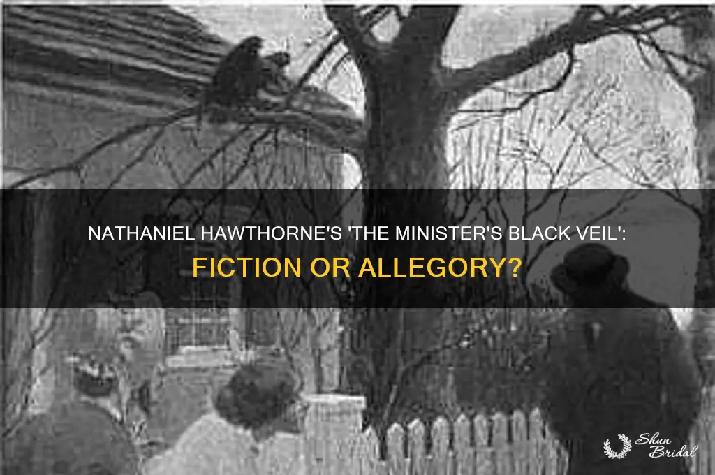 is nathaniel hawthorne the minister