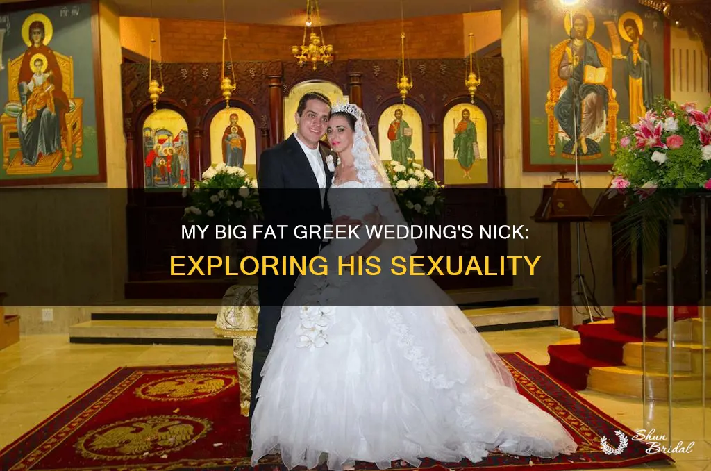 is nick gay in my big fat greek wedding