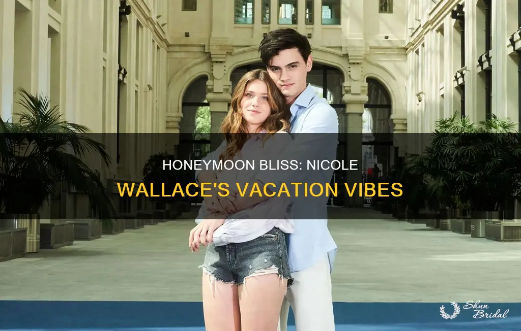 is nicole wallace on her honeymoon