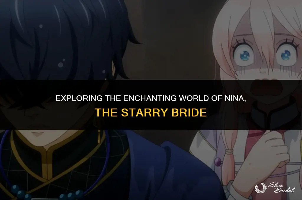 is nina the starry bride complete