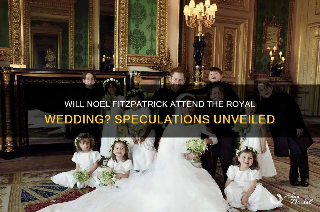 is noel fitzpatrick going to royal wedding