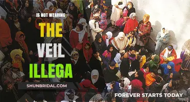 Is Not Wearing a Veil Illegal? Legal Insights and Cultural Perspectives