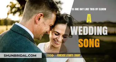 One Day Like This: A Perfect Wedding Song Choice?