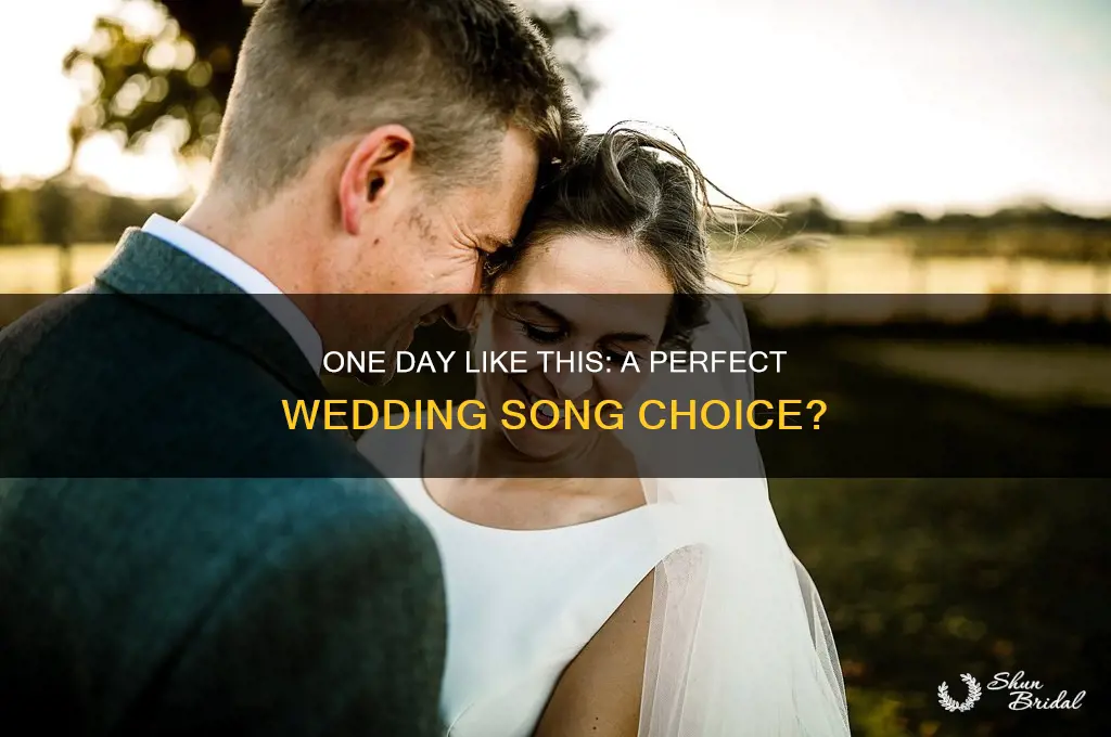 is one day like this by elbow a wedding song