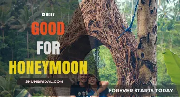 Ooty Honeymoon Guide: Romantic Getaway Pros, Cons, and Tips