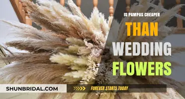 Pampas Grass: A Budget-Friendly Wedding Flower Alternative