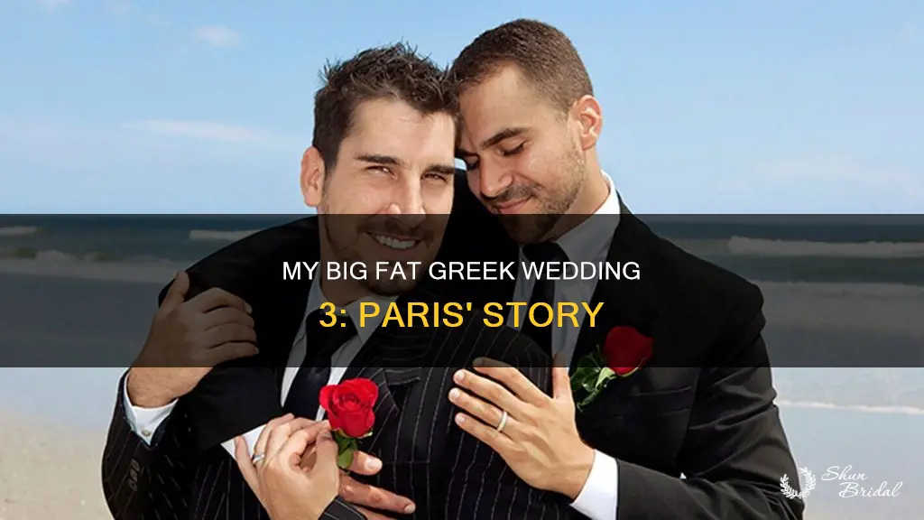 is paris gay in my big fat greek wedding 3