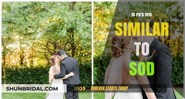 Exploring PA's Veil: Similarities and Differences Compared to SOD