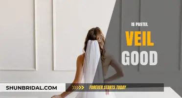 Is Pastel Veil Worth It? A Comprehensive Review and Analysis