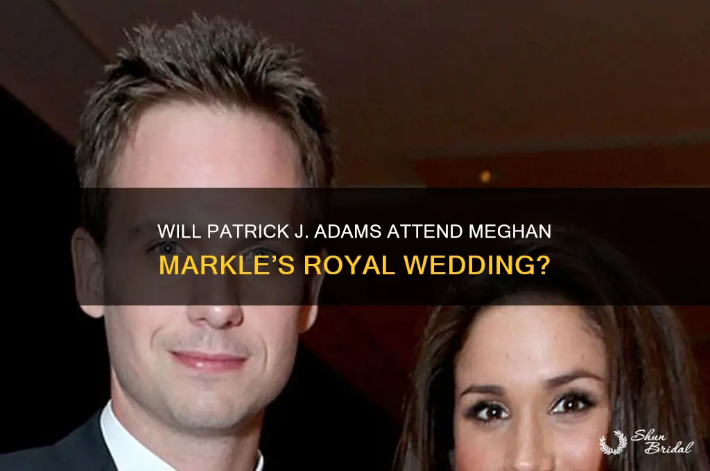 is patrick j adams going to meghan markles wedding