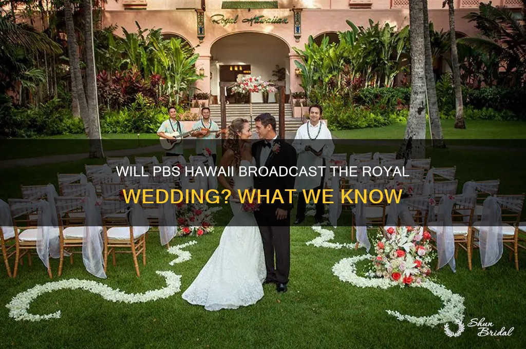 is pbs hawaii going to stream the wedding