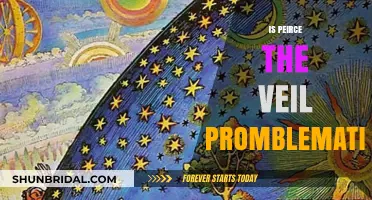 Is Piercing the Veil Problematic? Legal, Ethical, and Practical Concerns