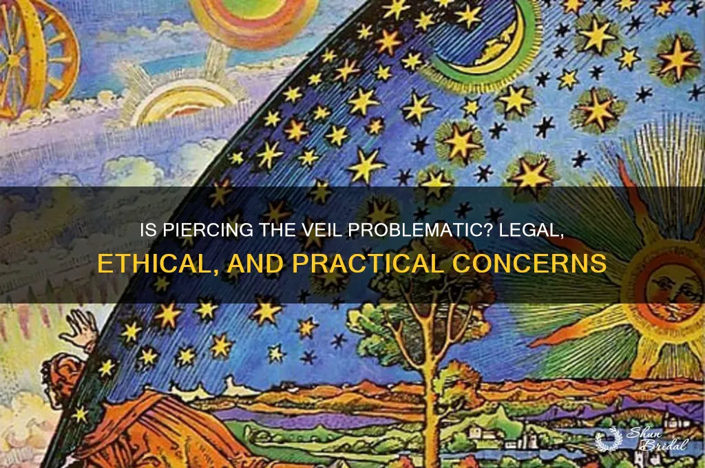 is peirce the veil promblematic