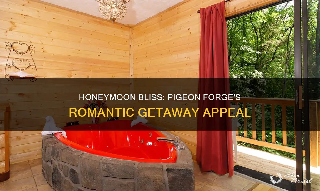 is pidgeon forge a good honeymoon