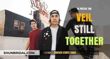 Are Pierce the Veil Still Together? Band Status Update 2023