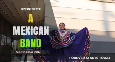 Is Pierce the Veil Mexican? Exploring the Band's Cultural Roots