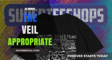 Is Pierce the Veil Appropriate? Analyzing Lyrics and Themes for All Ages