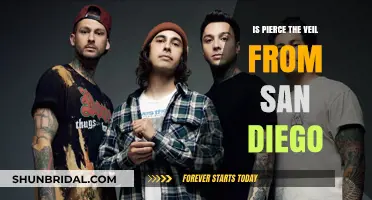 Pierce the Veil's Roots: San Diego Origins Explored