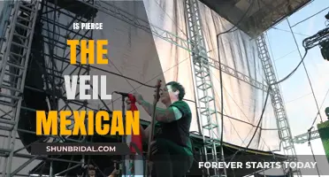 Is Pierce the Veil Mexican? Exploring the Band's Cultural Roots