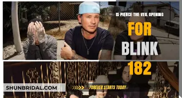 Pierce the Veil Joins Blink-182 Tour: Confirmed Opening Act?