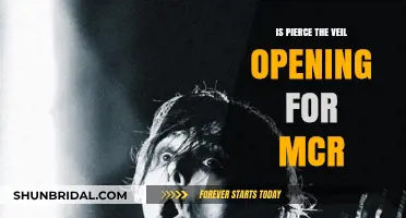 Pierce the Veil as MCR's Opening Act: Fact or Fiction?