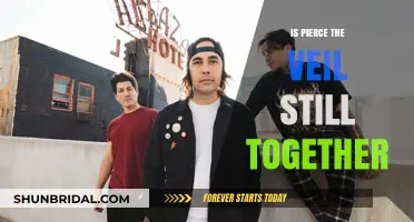 Is Pierce the Veil Still Together? Latest Updates on the Band's Status